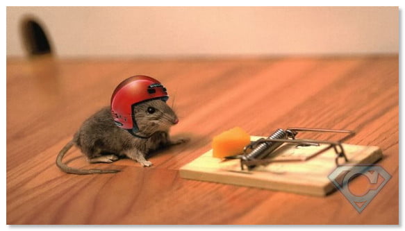 Альянс РОСНО жизнь Альянс РОСНО — страхование жизни